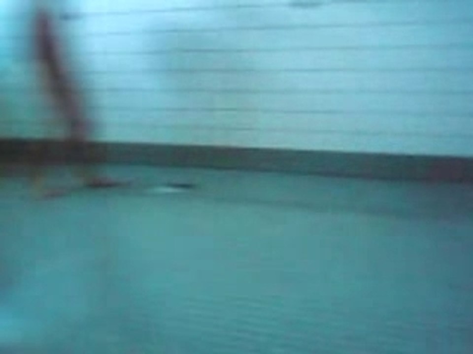 MOV00004
