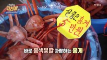 [YTN 구석구석 코리아] 제24회 맛과 멋이 가득한 도시, 강릉 / YTN (Yes! Top News)