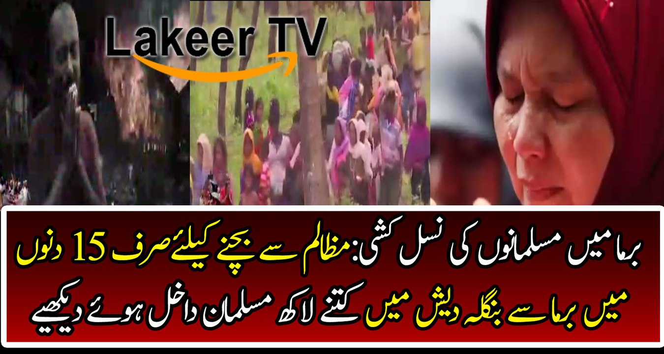 Big Ratio of Refugees Entered in Bangladesh After Myanmar Violence