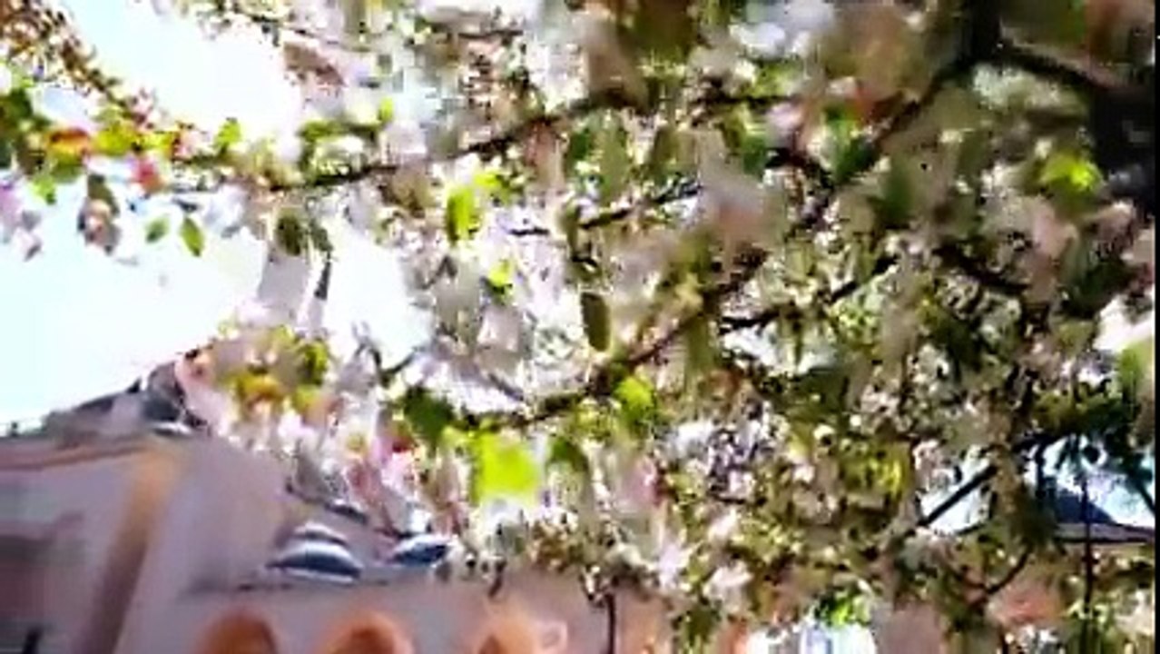 رحمان يارحمان ساعدني يارحمان _ انشودة جميلة_