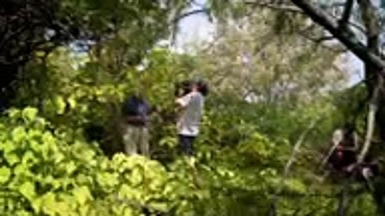 David Attenborough Documentary - BBC Great Barrier Reef - 2-3 FULL HD ,Tv series 2018 movies action comedy Fullhd season  part 2/2