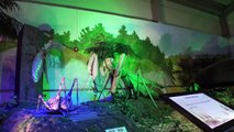 Giant Insect Life Size Jurassic Dinosaurs Children Museum Family Fun Theme Park Playground