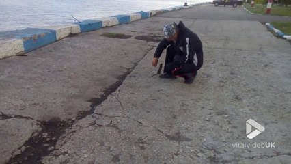 Ce rat vient lui manger dans la main directement !