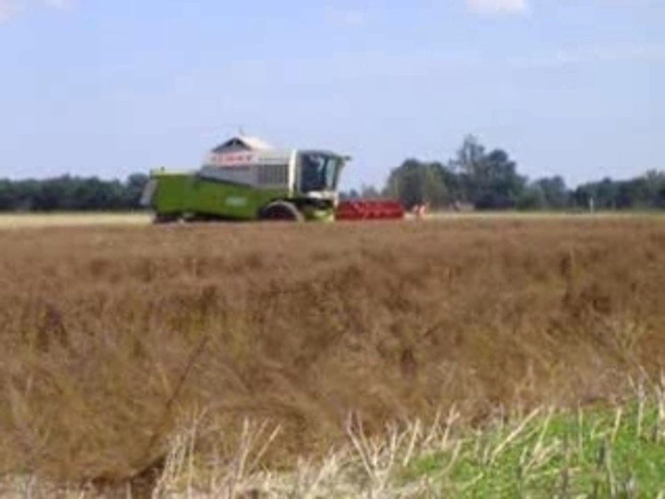 moisson 2007