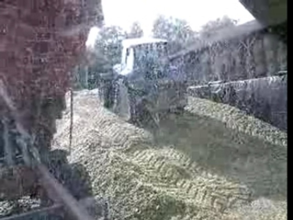 ensilage 2007