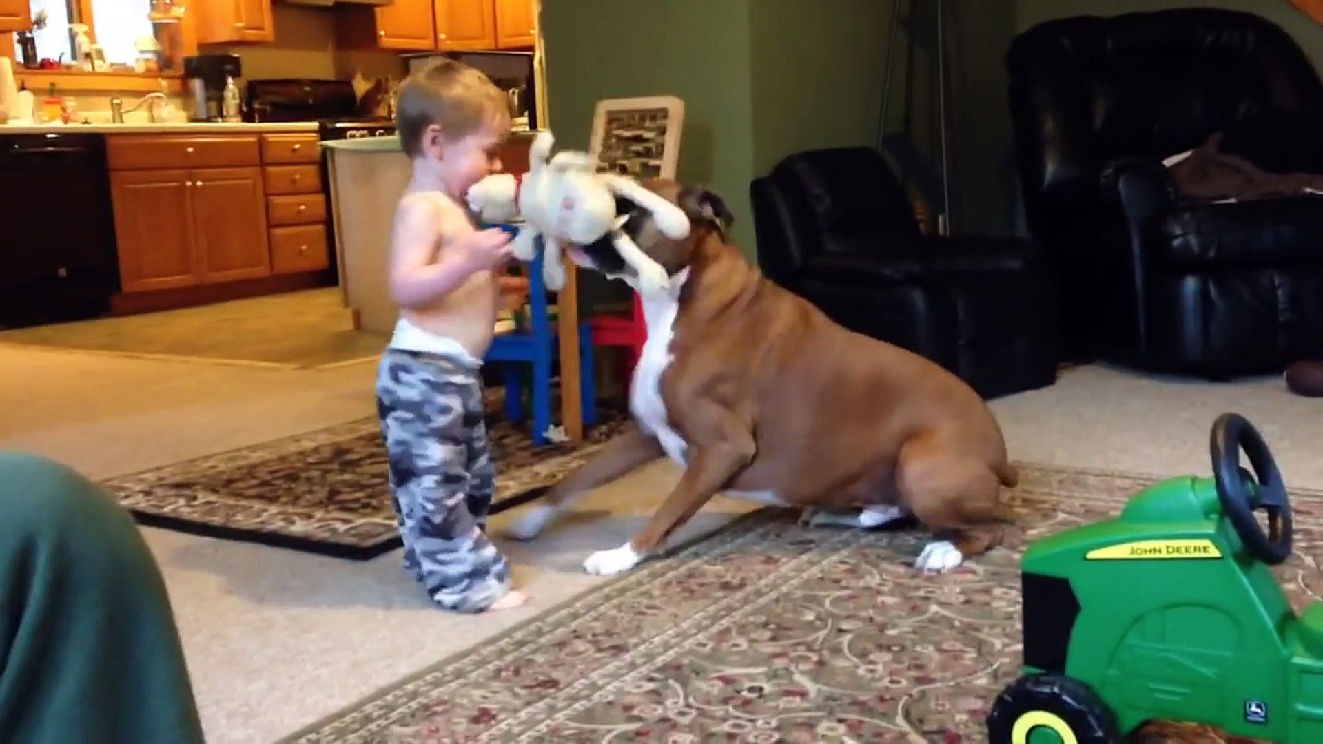 ⁣The Funniest Cutest Pets & Zoo Animal Home Video Bloopers of 2016 | Funny Pet Videos