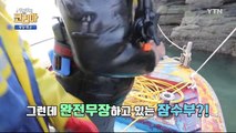 [YTN 구석구석 코리아] 제25회 꽃 피는 봄의 고장, 광양 / YTN (Yes! Top News)