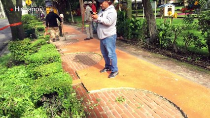 Los daños tras el potente sismo en México