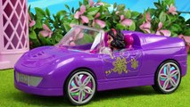 La Princesa Cenicienta celebra su Boda - Vídeos de Juguetes de Princesas y Playmobil