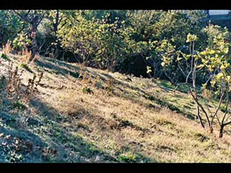 Rabah IFERHATEN - A talaa iluren