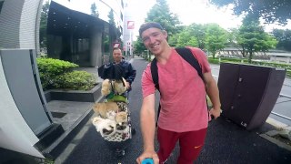 Cat Man of Tokyo