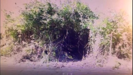 Zonguldak'ta Uyuşturucu Operasyonu - 4 Kişi Tutuklandı