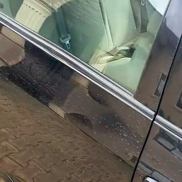 My Escape From Hausa Robbers - Naija Man