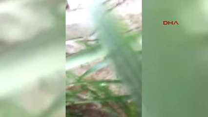 Konya Evinde 11 Kilo Esrarla Yakalandı