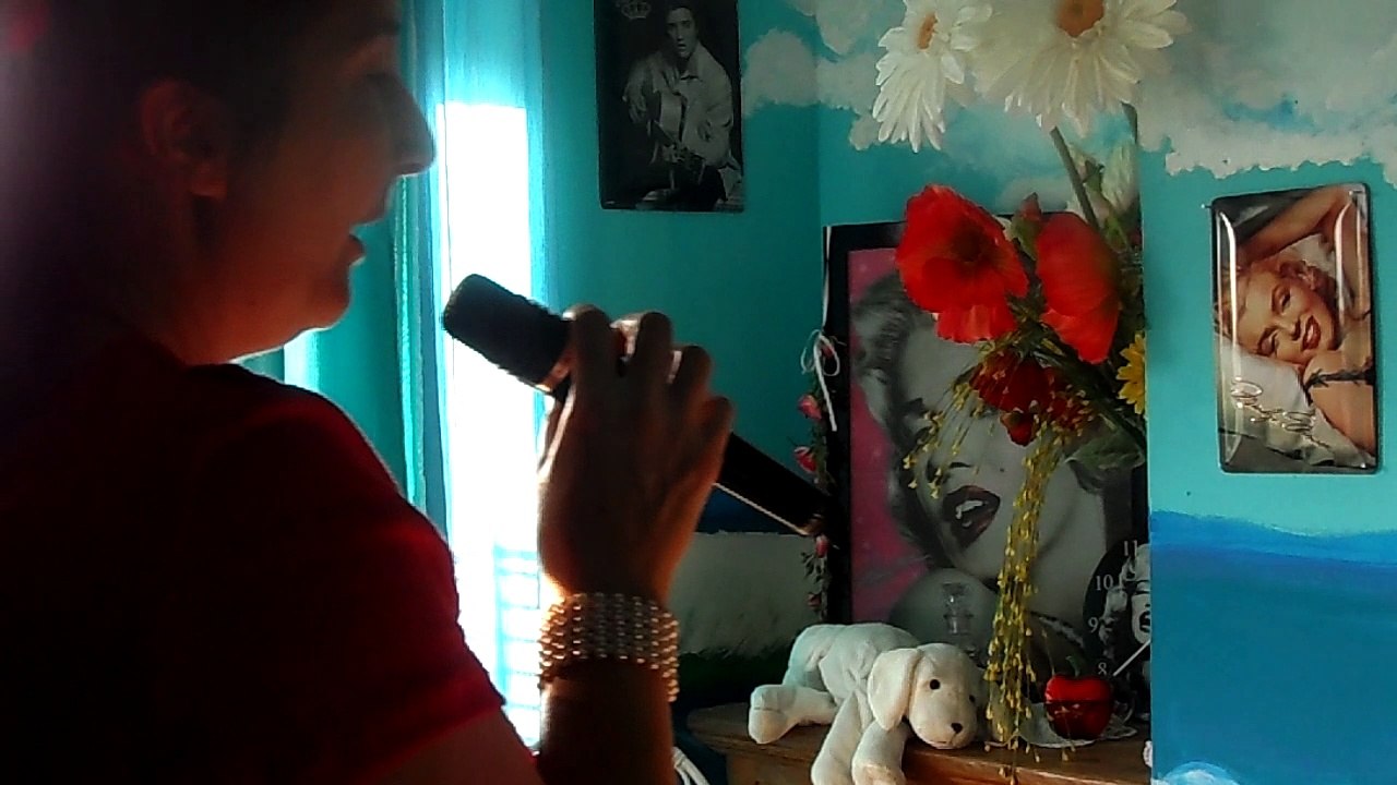 véronique  sanson  quelques mots d 'amour ..