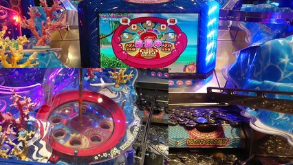 【メダルゲーム】海物語で10000枚バカ入れしてみたら想定外の事態に