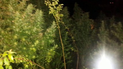 UYUŞTURUCUDAN TUTUKLANDILAR...