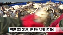 사드 긴장 속 '꽃게철' 中 불법조업 대대적 단속 / YTN (Yes! Top News)