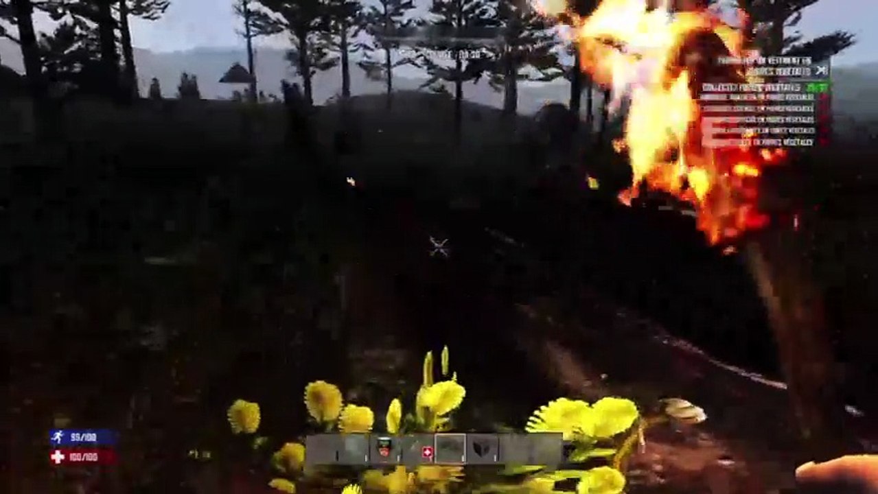 Montage (49)