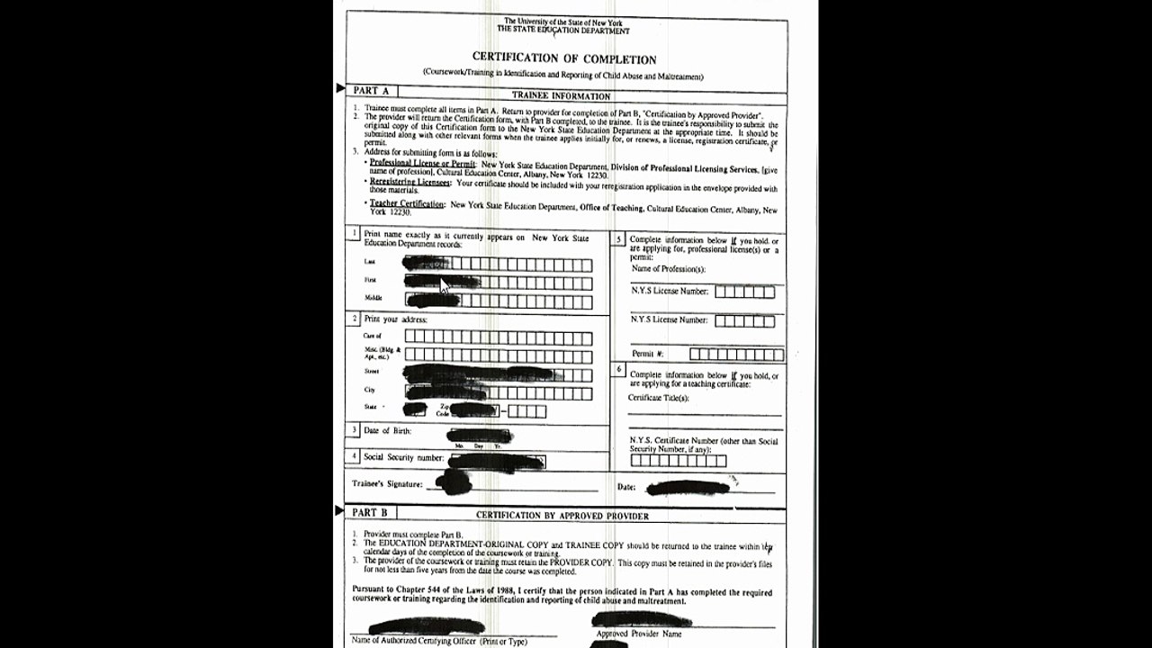 Reporting child abuse and maltreatment form