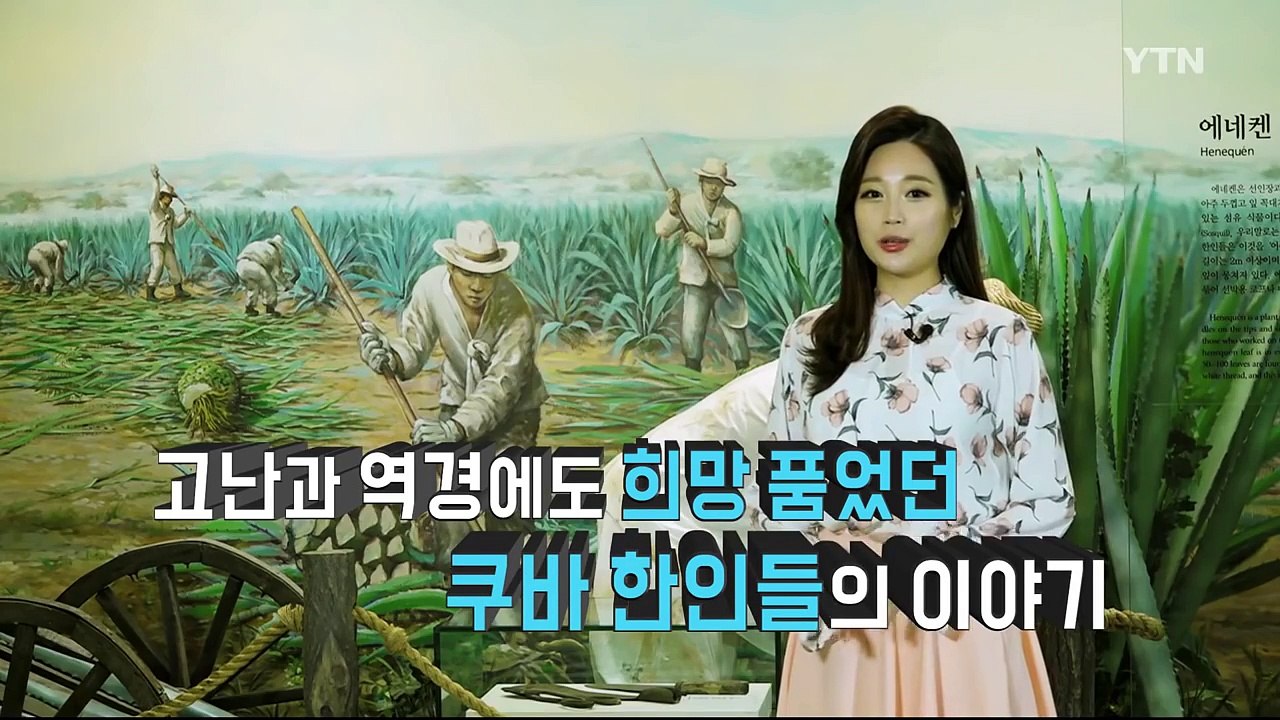 [쿠바 한인 후손 특집] 쿠바 한인 이민사 영화 만드는 동포 / YTN (Yes! T...