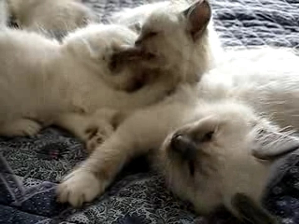Repos et jeux 1m14s