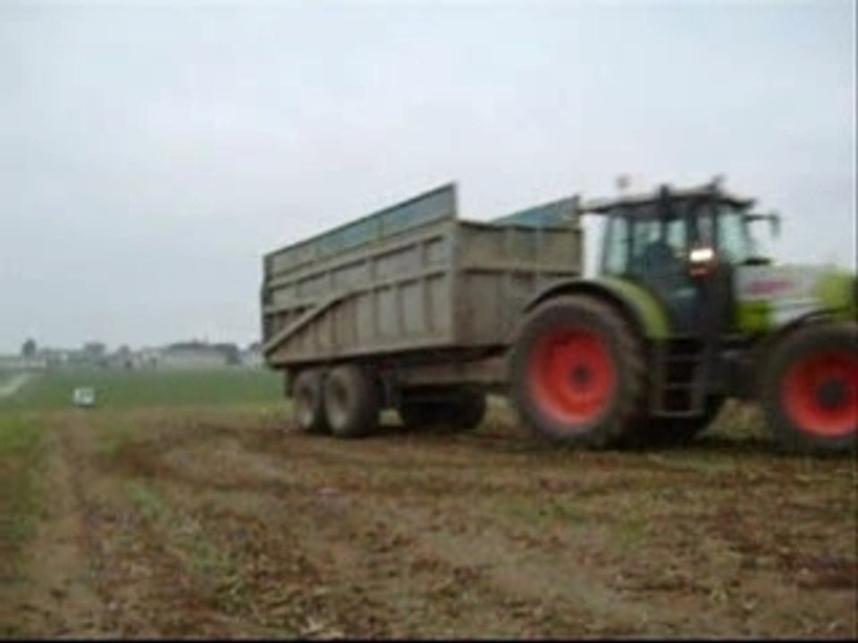 Ensilage de Maïs séquence N°5 Tony