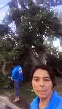 FREE Help for _Microburst_ Victims! Santa Barbara,Goleta,CA