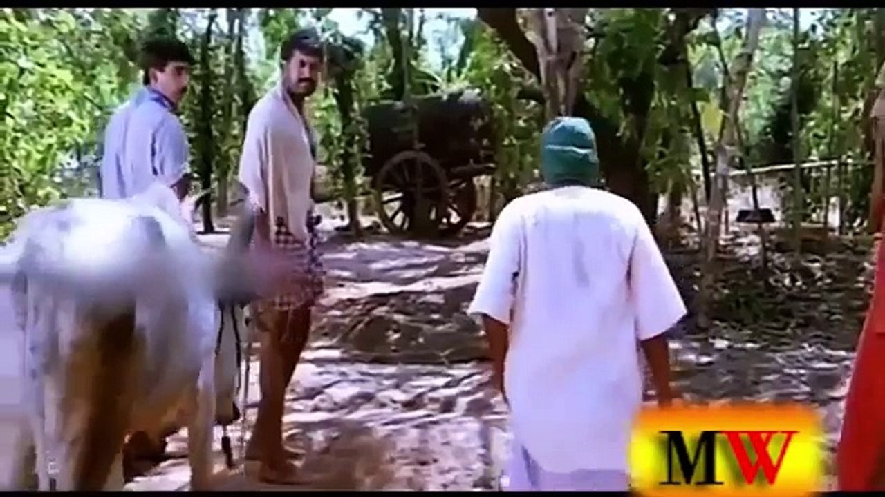 Non Stop Malayalam Comedy | Malayalam Movie Scenes | Malayalam Funny Videos HD