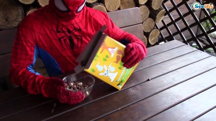 Frozen Elsa & Spiderman w/ Spiderbaby in Real Life Toilet Prank SuperHeroes Episode 9
