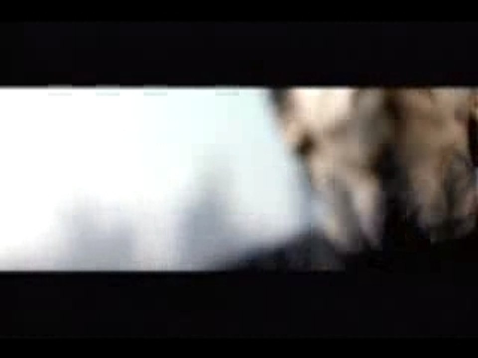 CONVERGE - Eagles Become Vultures