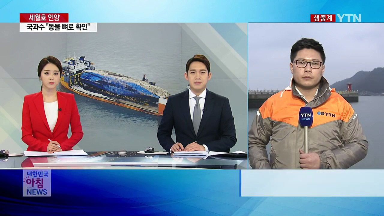 "세월호 현장 뼛조각은 동물 뼈"...세월호 내일쯤 목포행 / YTN (Yes! To...