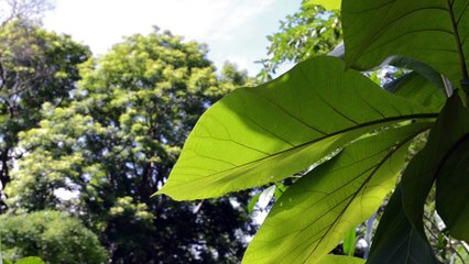 UK manufacturing output picks up in July