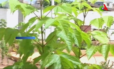 المسلسل الجزائري الليالي البيضاء الحلقة 12 والحلقة 13