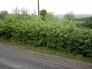 rallye dijon cote d'or 2006