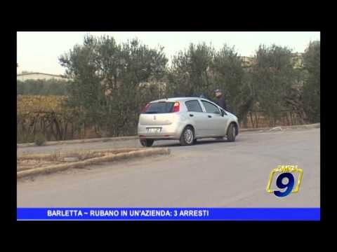 BARLETTA | Rubano in un'azienda, tre arresti