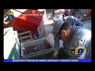 Sequestrato frantoio nel barese, denunciati in tre a Grumo