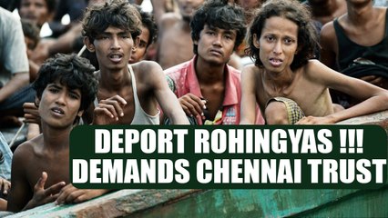 Download Video: Rohingya immigrants are illegal, Chennai Trust demands deportation | Oneindia News