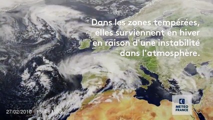 Cyclone, tempête, ouragan... Quelle est la différence entre ces événements climatiques ?