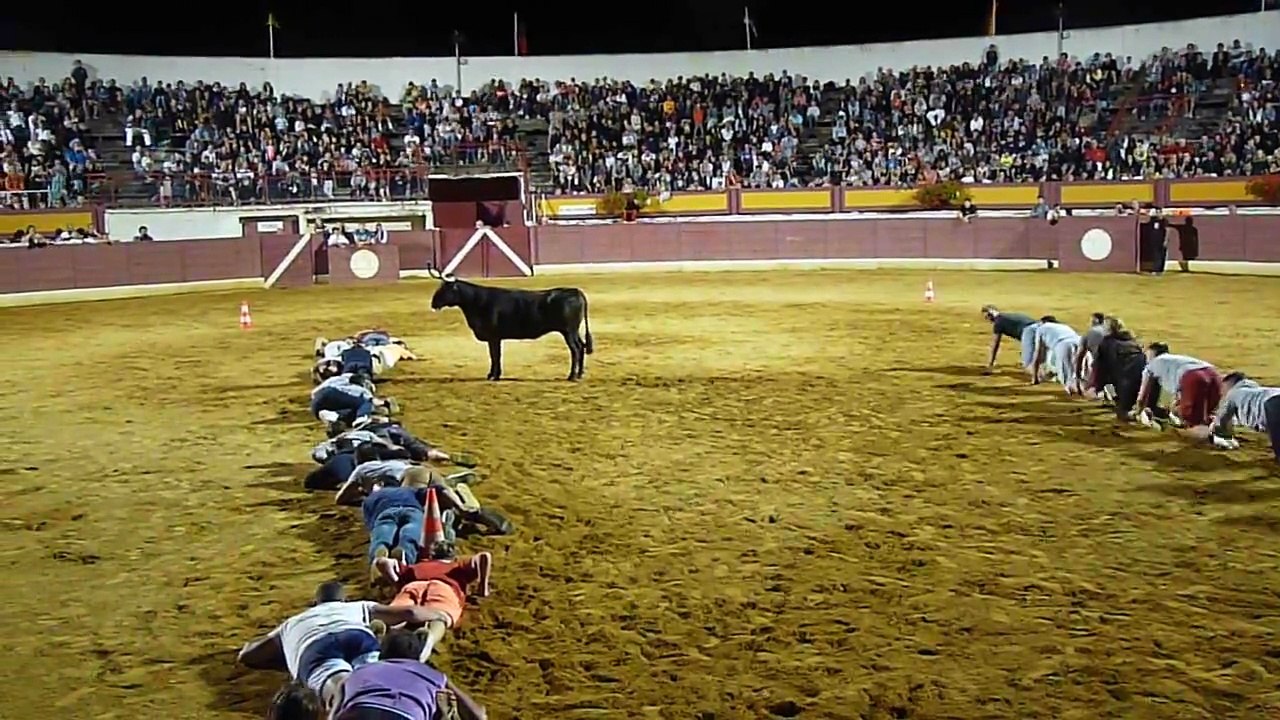 Interesting team racing in bull's ring