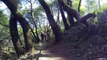 Trail Ninja: Marin, California Trail Riding Guide - Redwoods, Single Track and a Pair of Speedos