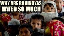 Rohingya crisis: The root of the problem explained  | Oneindia News