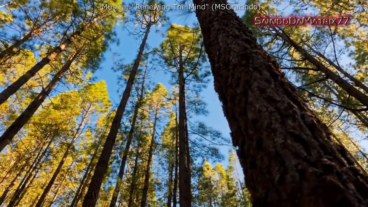 Destruindo A Falsa ciência dos Judeus Asquenazes  (39)