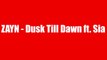 ZAYN - Dusk Till Dawn Trailer ft. Sia 