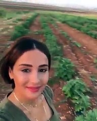 ارضنا الحلوة ❤️ من خيرها تربيت وتعلمت   #كندة_حنا  #ارضنا #ز