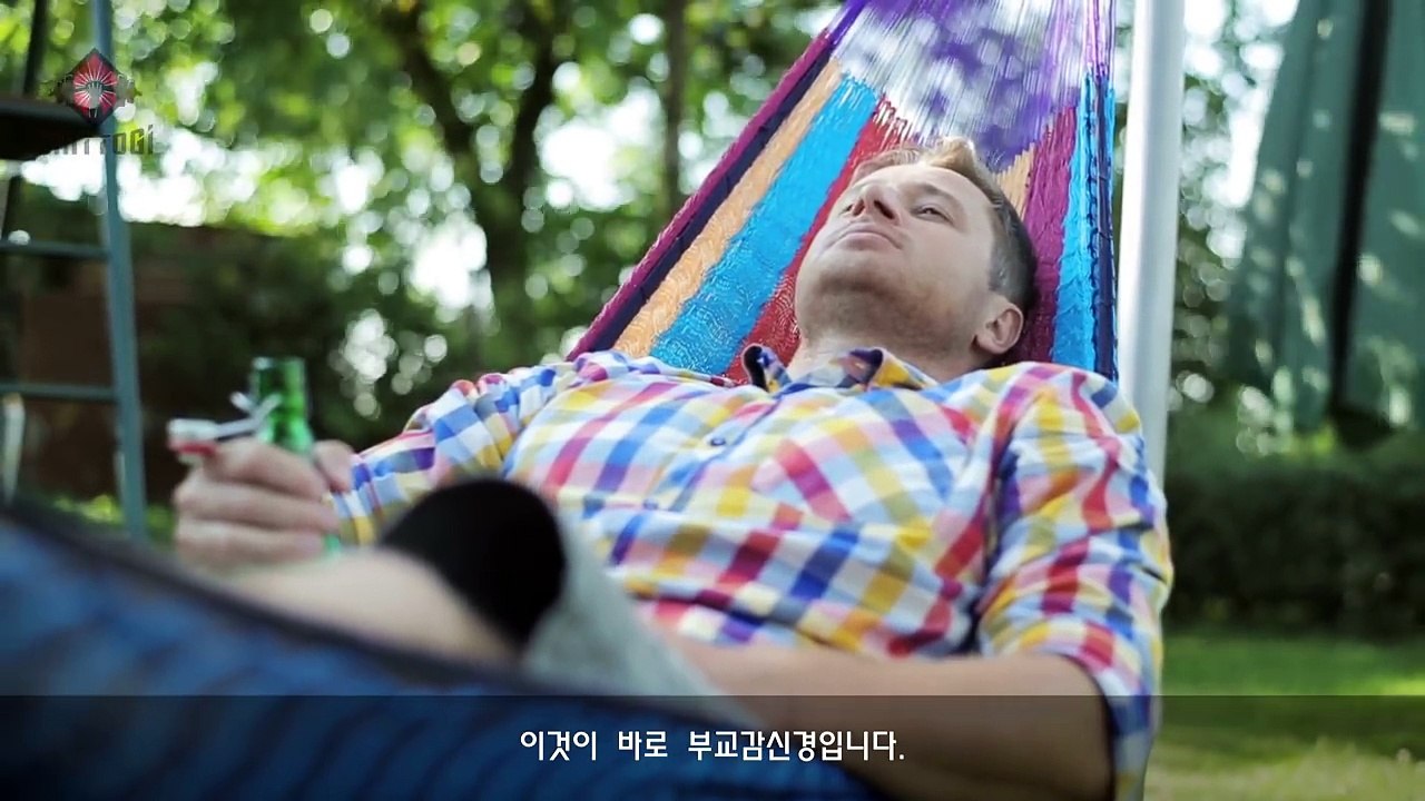 [보디빌더들이 사용하는 약물 4 ] 에페드린 컷팅제