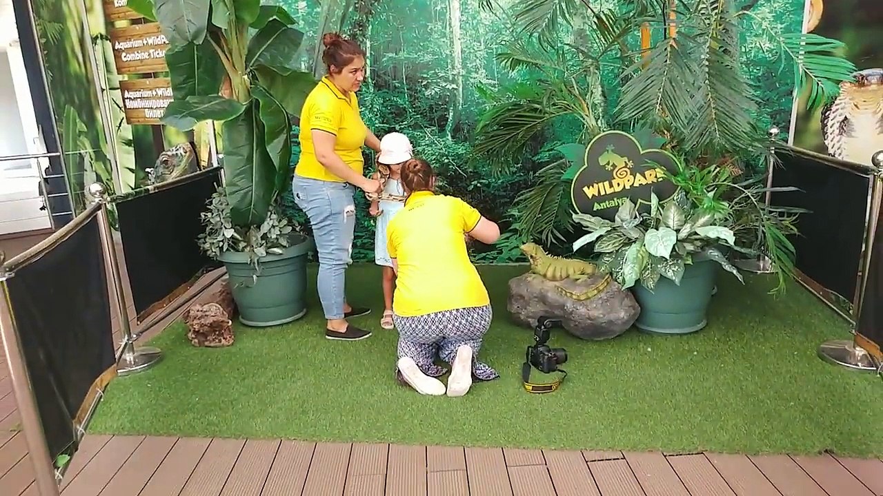 BİRİSİ CESARET Mİ DEDİ ? DEV PİTON VE ELİF  . . . . . .  . Antalya Akvaryum wind park