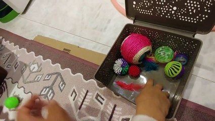 Kedicik Alina ve Minişler