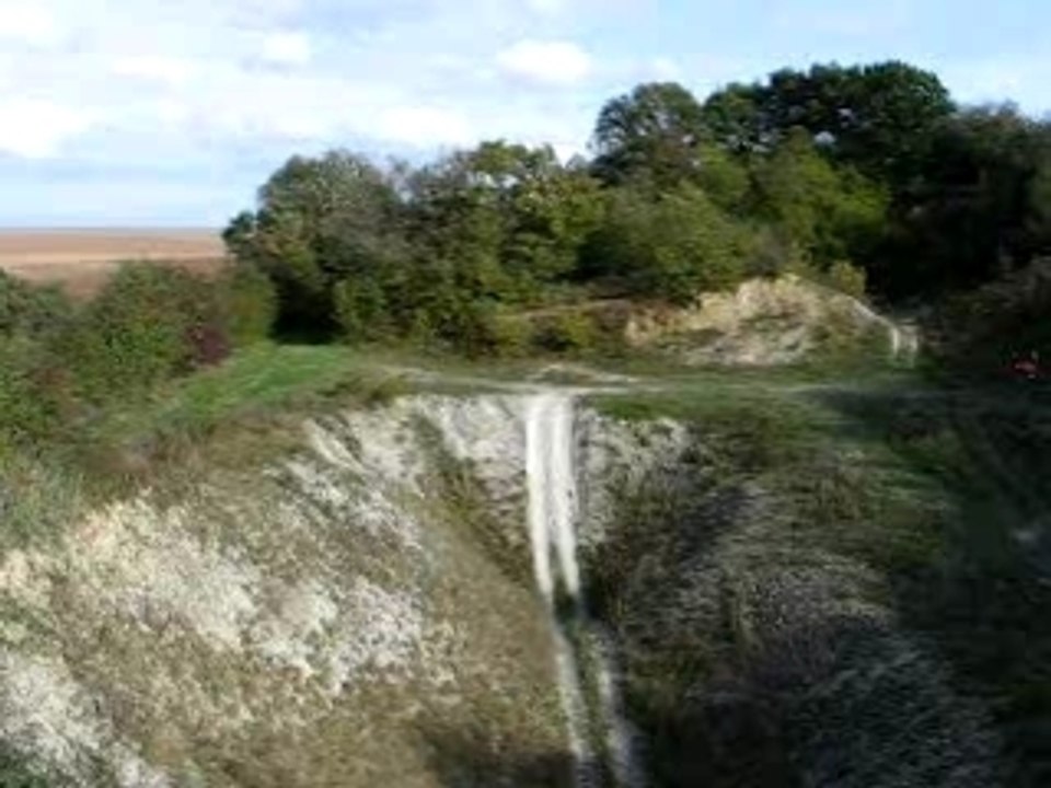Dans la marniere
