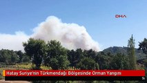 Hatay Suriye'nin Türkmendağı Bölgesinde Orman Yangını